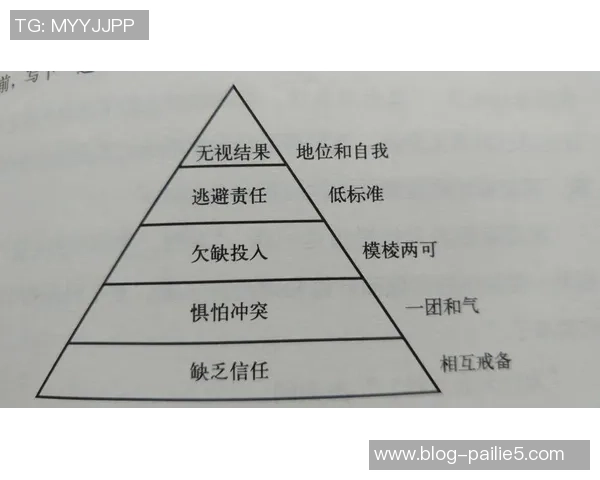 南京排球队在精英赛中的团队协作表现分析与反思