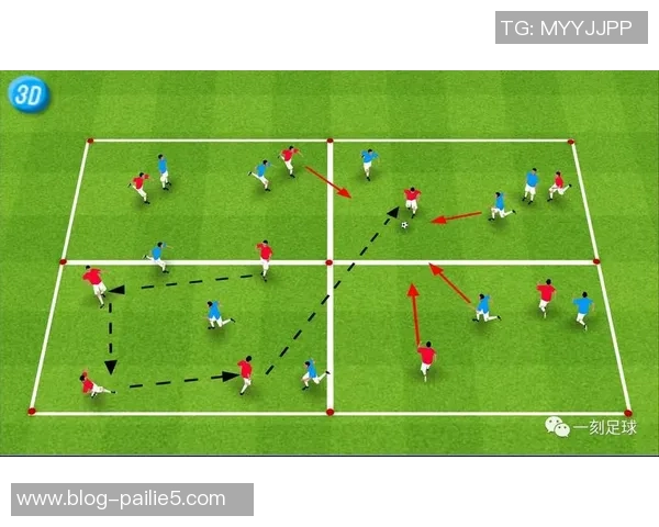 南京足球队的控制策略与发展现状深度分析